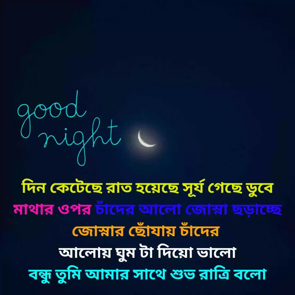 Good Night Bengali Shayari

