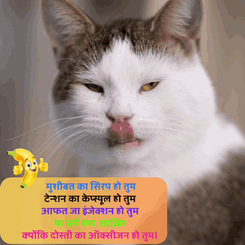 Best Funny Shayari in Hindi for Friends