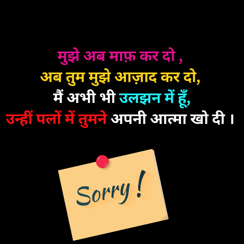Hindi Sorry Shayari
